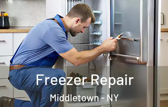  Freezer Repair Middletown - NY