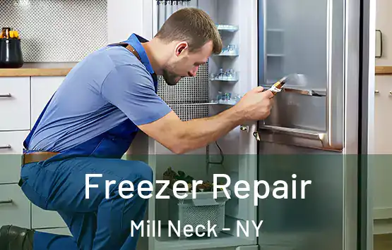  Freezer Repair Mill Neck - NY