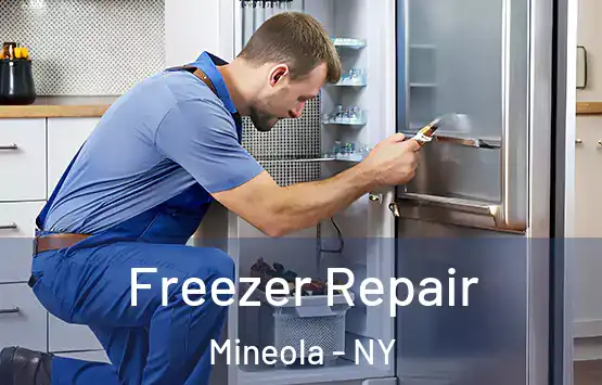  Freezer Repair Mineola - NY