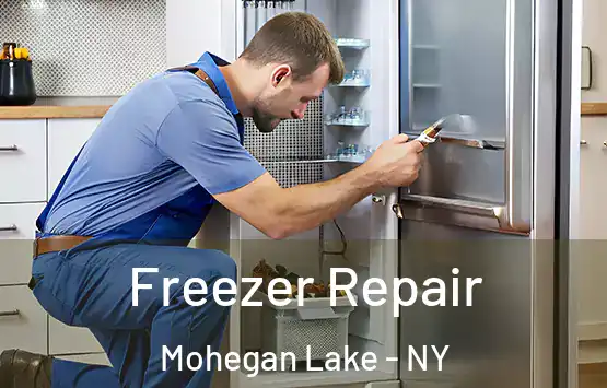 Freezer Repair Mohegan Lake - NY