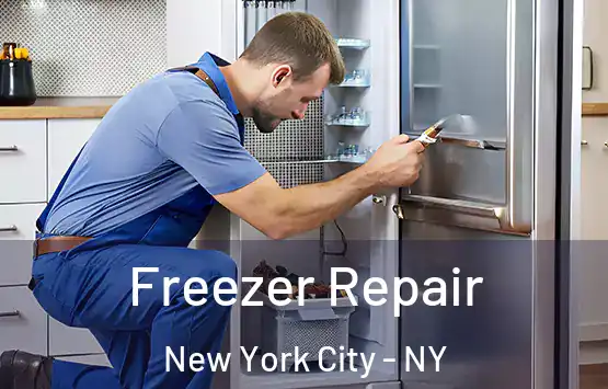  Freezer Repair New York City - NY
