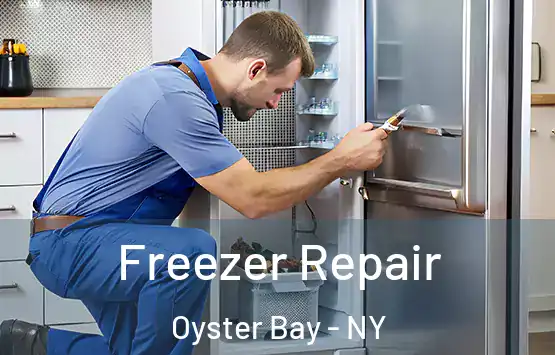  Freezer Repair Oyster Bay - NY
