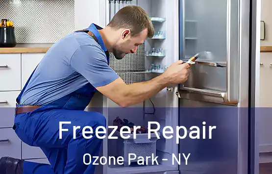  Freezer Repair Ozone Park - NY