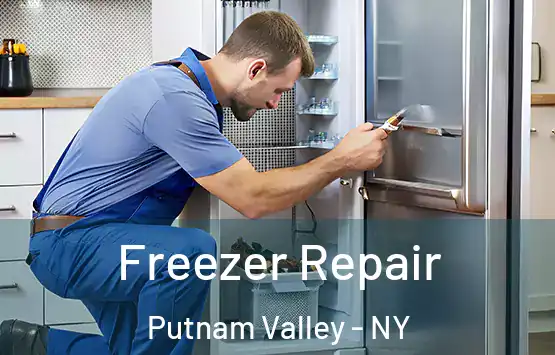  Freezer Repair Putnam Valley - NY