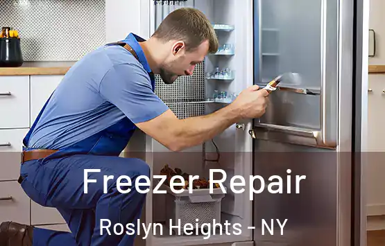  Freezer Repair Roslyn Heights - NY