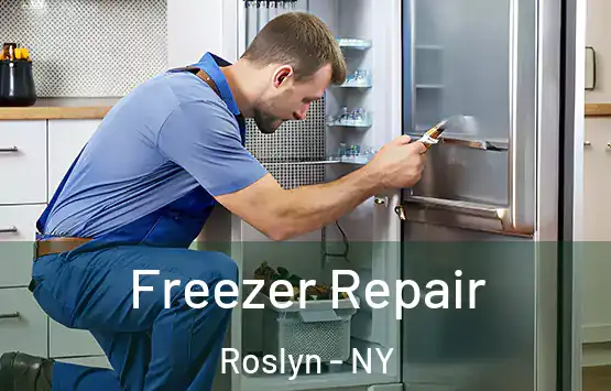  Freezer Repair Roslyn - NY