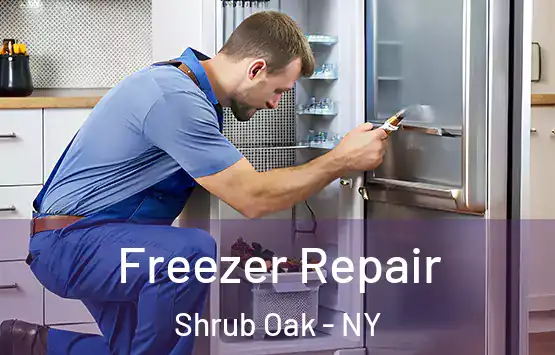  Freezer Repair Shrub Oak - NY
