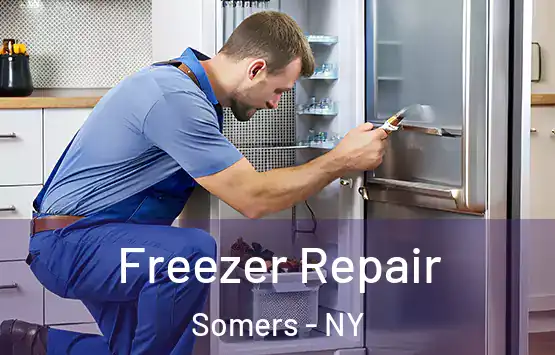  Freezer Repair Somers - NY