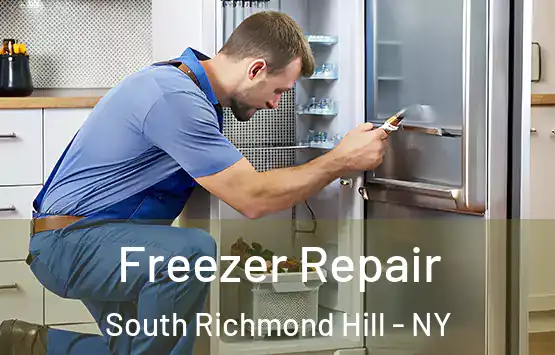  Freezer Repair South Richmond Hill - NY