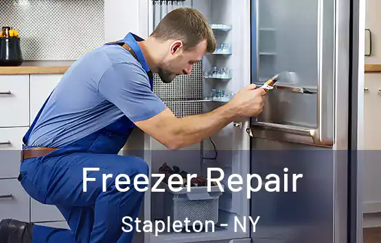  Freezer Repair Stapleton - NY