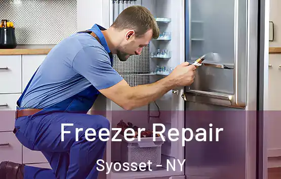  Freezer Repair Syosset - NY
