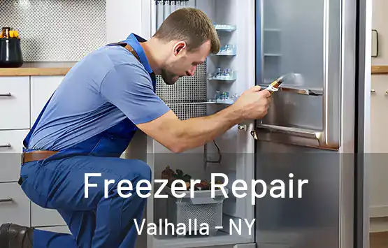  Freezer Repair Valhalla - NY