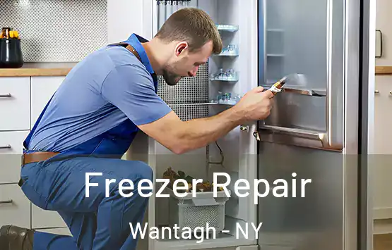  Freezer Repair Wantagh - NY