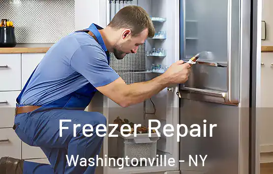  Freezer Repair Washingtonville - NY