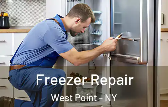  Freezer Repair West Point - NY