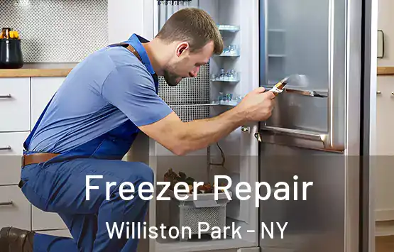  Freezer Repair Williston Park - NY