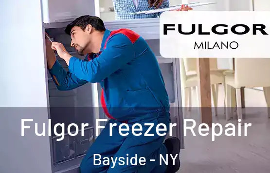  Fulgor Freezer Repair Bayside - NY