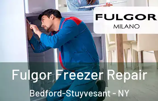  Fulgor Freezer Repair Bedford-Stuyvesant - NY