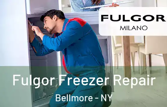  Fulgor Freezer Repair Bellmore - NY