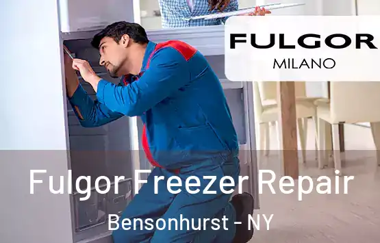  Fulgor Freezer Repair Bensonhurst - NY