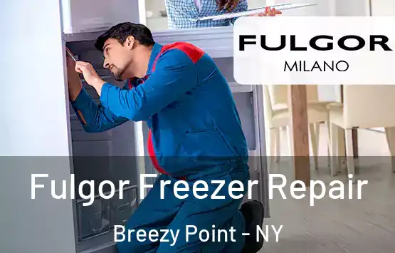  Fulgor Freezer Repair Breezy Point - NY