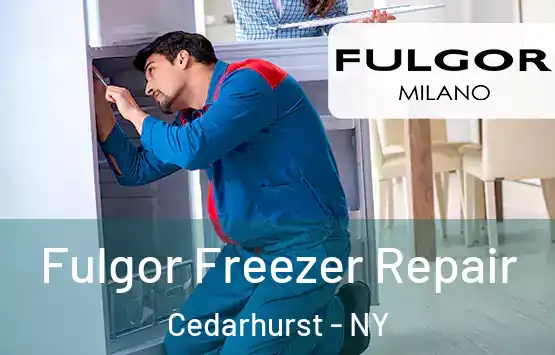  Fulgor Freezer Repair Cedarhurst - NY