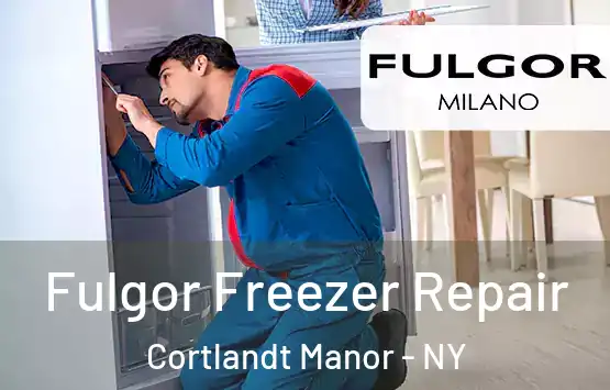  Fulgor Freezer Repair Cortlandt Manor - NY