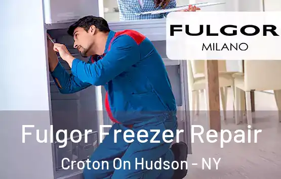  Fulgor Freezer Repair Croton On Hudson - NY