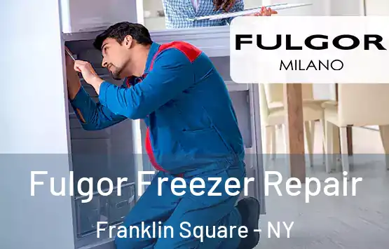  Fulgor Freezer Repair Franklin Square - NY