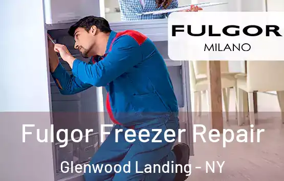  Fulgor Freezer Repair Glenwood Landing - NY
