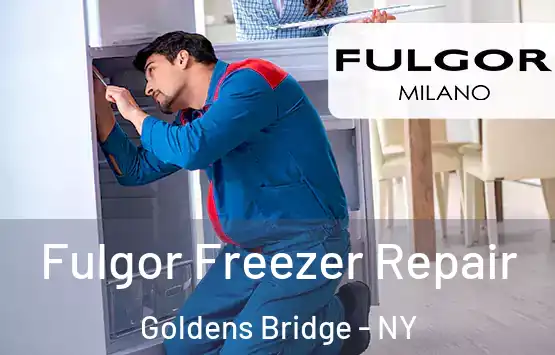  Fulgor Freezer Repair Goldens Bridge - NY