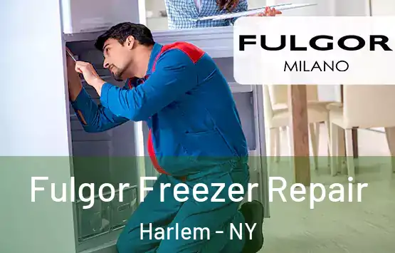  Fulgor Freezer Repair Harlem - NY