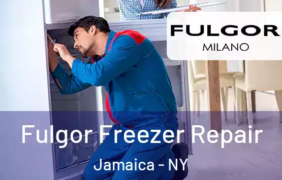  Fulgor Freezer Repair Jamaica - NY