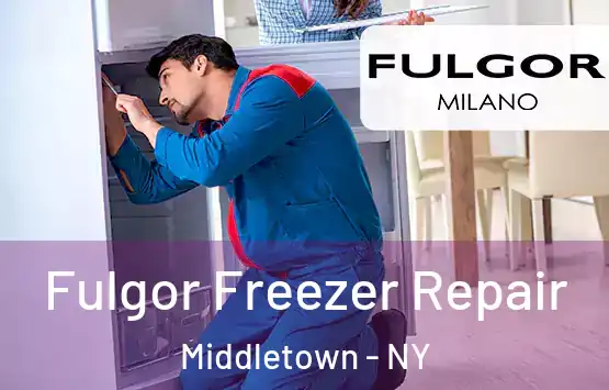  Fulgor Freezer Repair Middletown - NY
