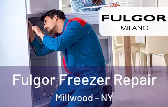  Fulgor Freezer Repair Millwood - NY