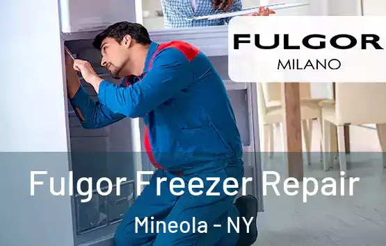  Fulgor Freezer Repair Mineola - NY