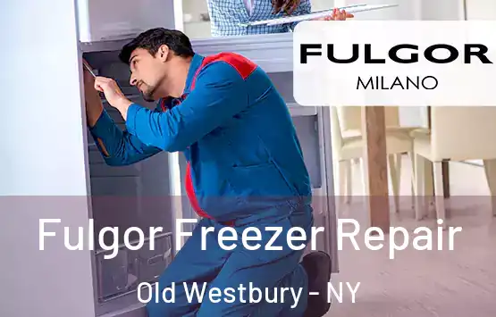  Fulgor Freezer Repair Old Westbury - NY