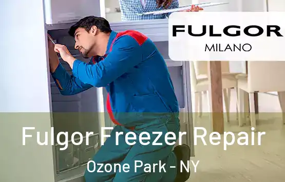  Fulgor Freezer Repair Ozone Park - NY