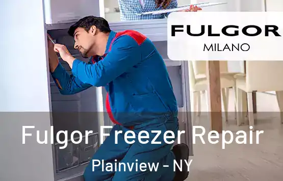  Fulgor Freezer Repair Plainview - NY