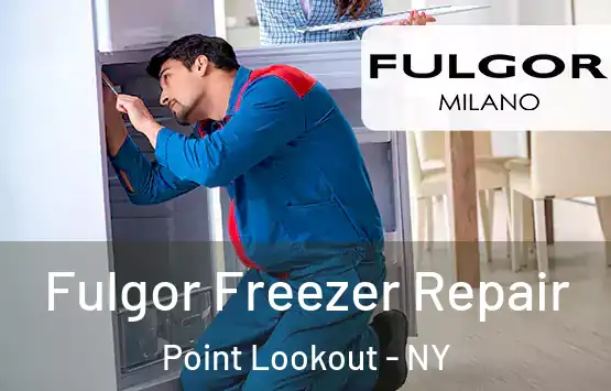  Fulgor Freezer Repair Point Lookout - NY