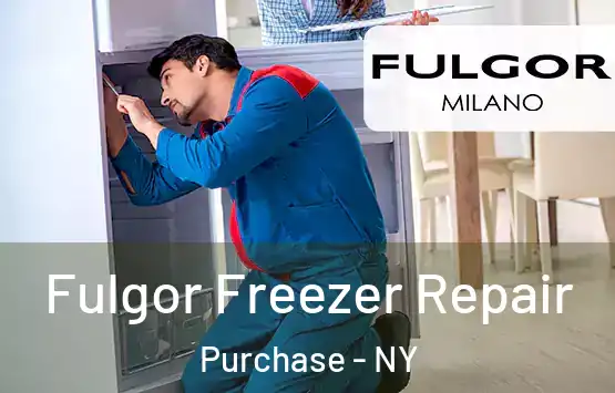 Fulgor Freezer Repair Purchase - NY