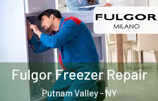  Fulgor Freezer Repair Putnam Valley - NY