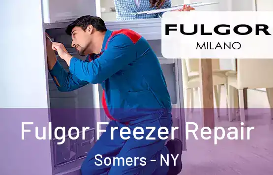  Fulgor Freezer Repair Somers - NY
