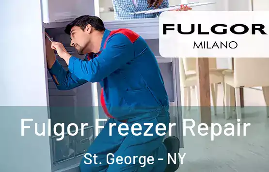  Fulgor Freezer Repair St. George - NY