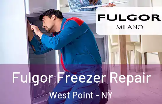  Fulgor Freezer Repair West Point - NY