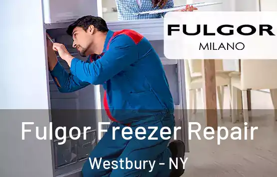  Fulgor Freezer Repair Westbury - NY