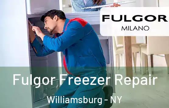  Fulgor Freezer Repair Williamsburg - NY