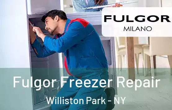  Fulgor Freezer Repair Williston Park - NY