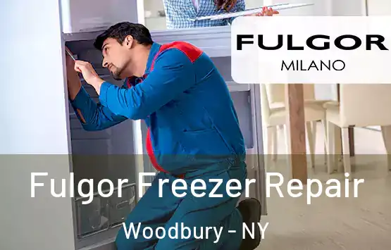  Fulgor Freezer Repair Woodbury - NY