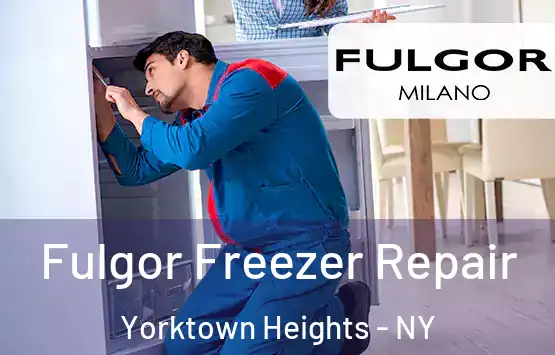  Fulgor Freezer Repair Yorktown Heights - NY